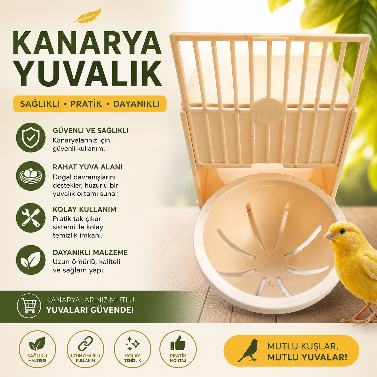 Yuvalık Kanarya Kahve