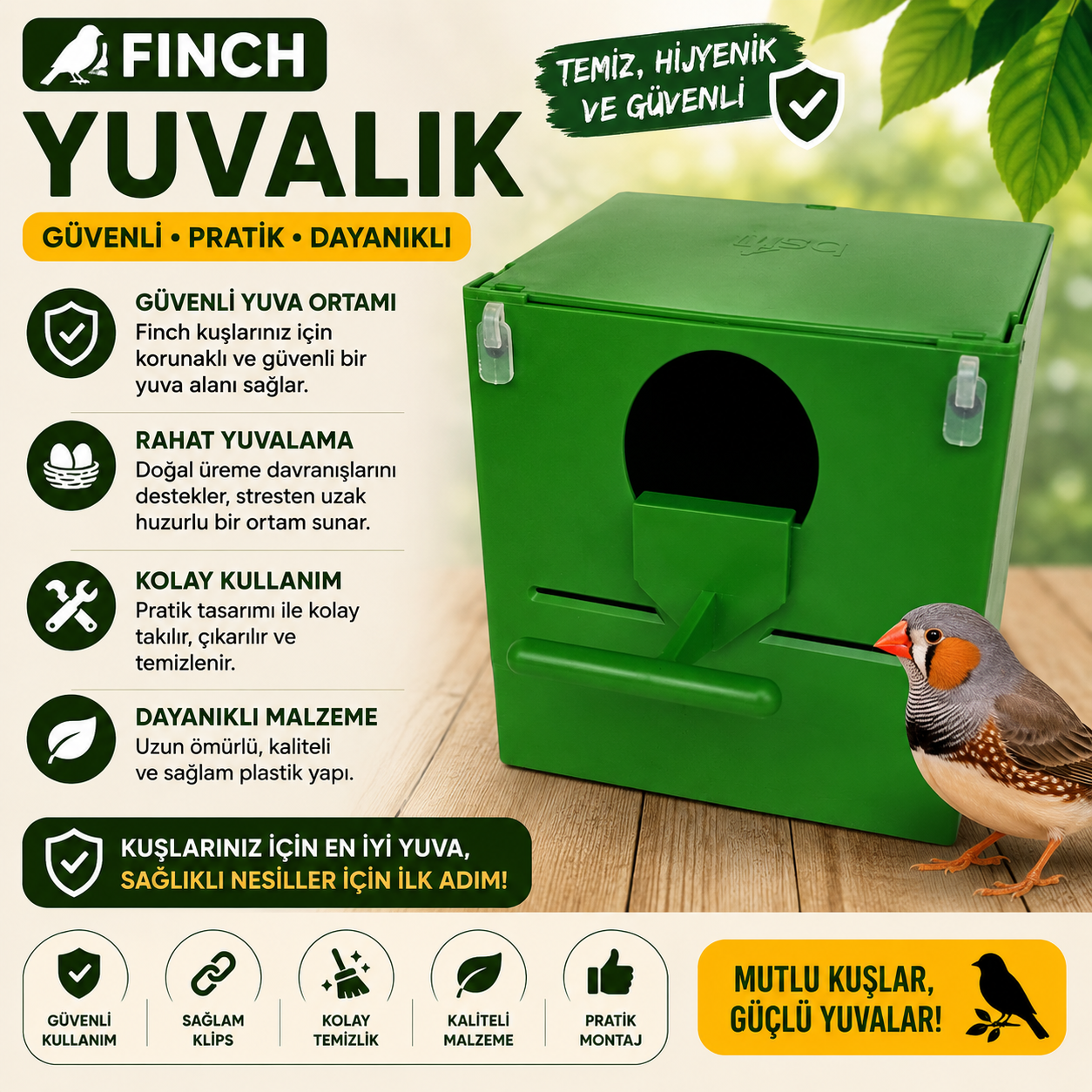 Yuvalik Finch