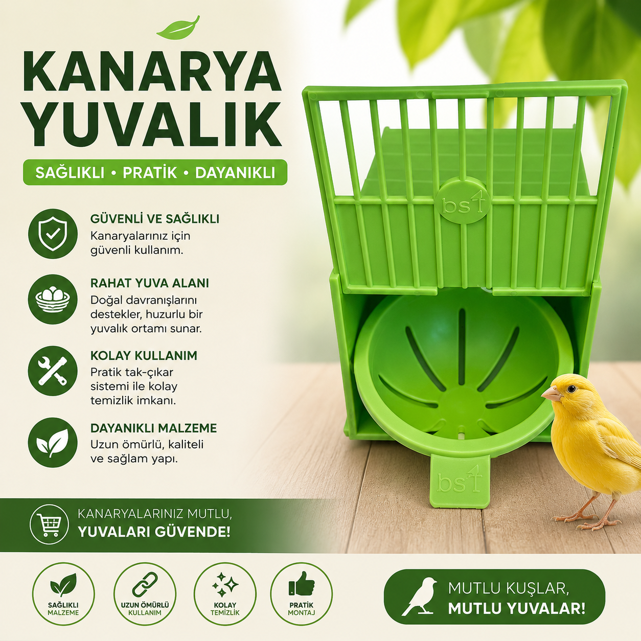 Yuvalık Kanarya Yeşil