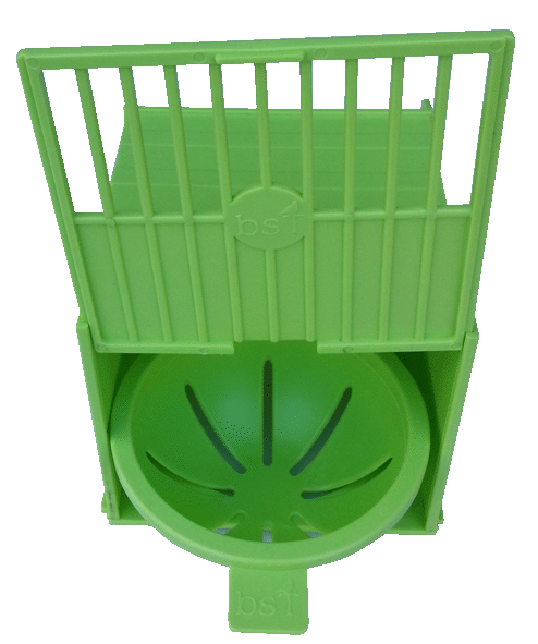 Yuvalık Kanarya Yeşil