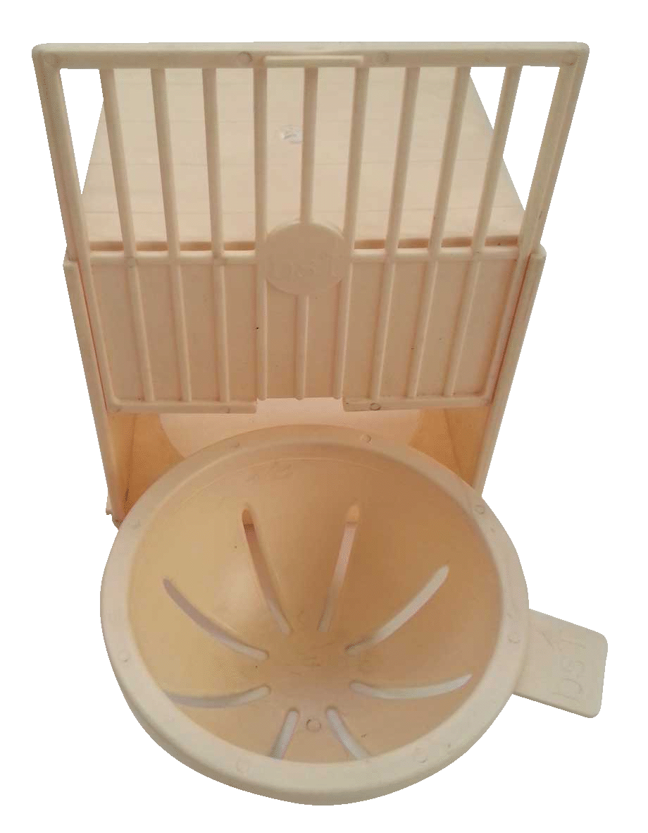 Yuvalık Kanarya Kahve